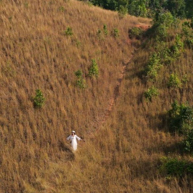 ภูเขาหญ้า