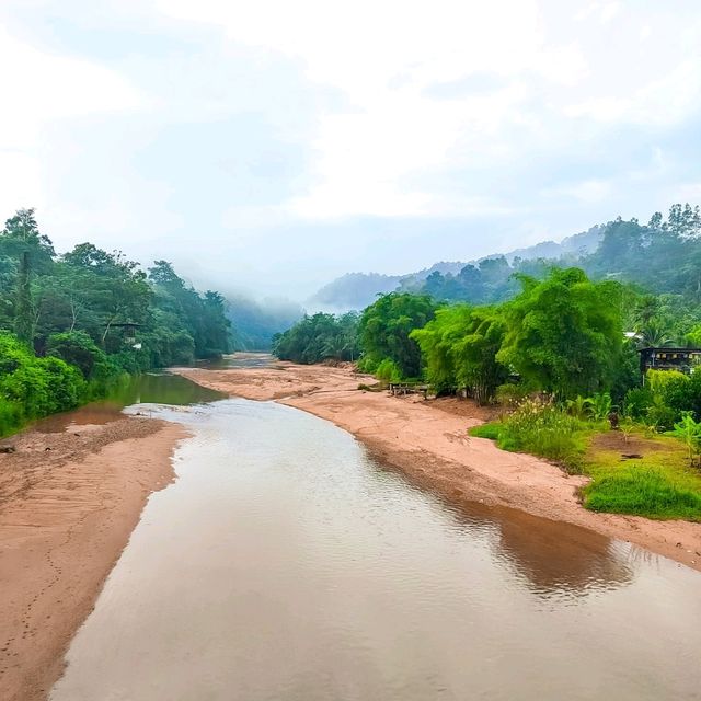 Riverside Palm Inn Sungai Lembing
