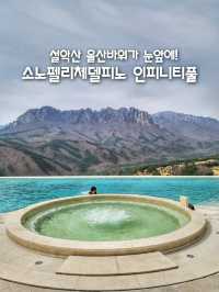 국내최고뷰 온수풀!소노펠리체델피노 인피니티풀🌊