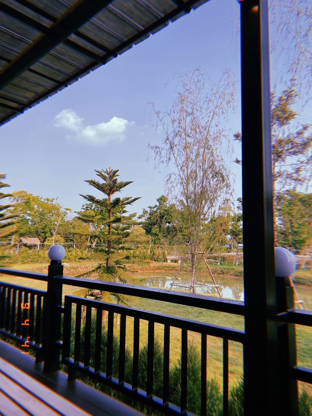 The BARNERY คาเฟ่เปิดใหม่ สระบุรี 🎊