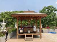 บูชาองค์พญานาค ที่ม่อนพญานาคราชแม่ออน