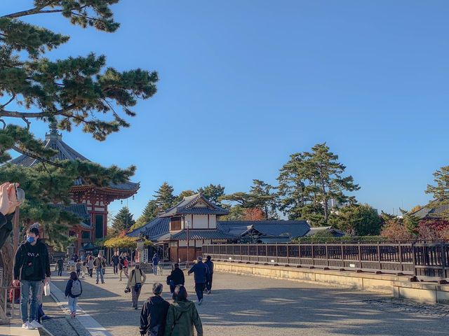 สวนกวางนารา Nara Park 🦌