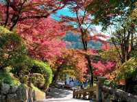 วัดคิโยะมิซุ 清水寺 หรือวัดน้ำใส 🍁⛩️