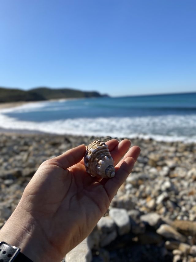 a short but epic adventure 🇦🇺🌊