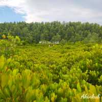 ทริประยอง ฉบับ Slow life