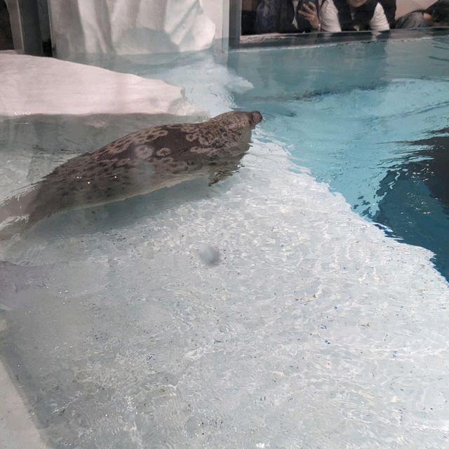 【ぜひ遊びに行って欲しい！】大阪最大の水族館