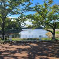 【福岡／糟屋】風が気持ちいい自然いっぱいの公園
