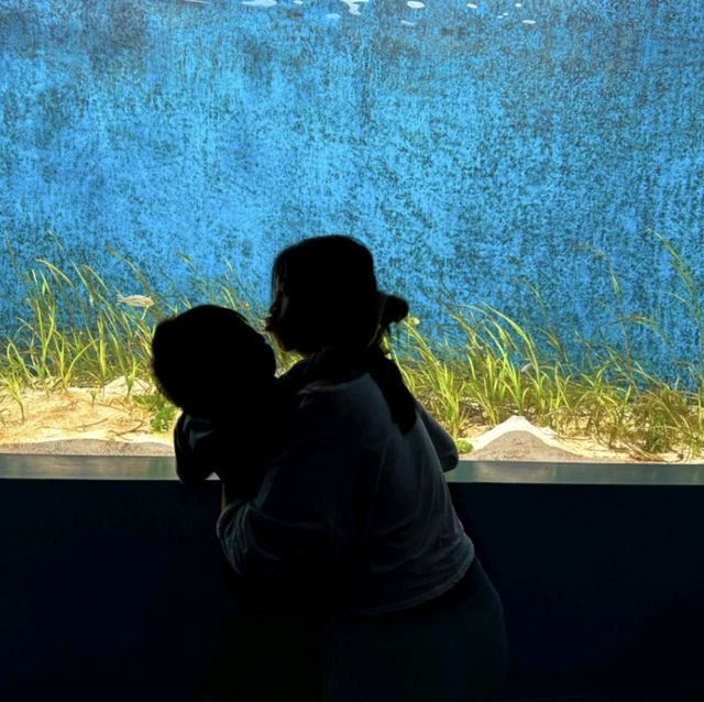 【相聚於水】台灣桃園 X Park 水族館:浸入海底奇觀 【相聚於水】台灣桃園 X Park 水族館:浸入海底奇觀