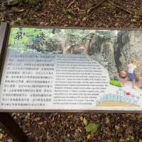 享受森林浴-墾丁國家森林遊樂區