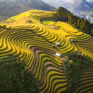Tú Lệ, Yên Bái