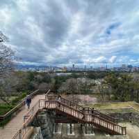 Maizuru park (舞鶴公園）