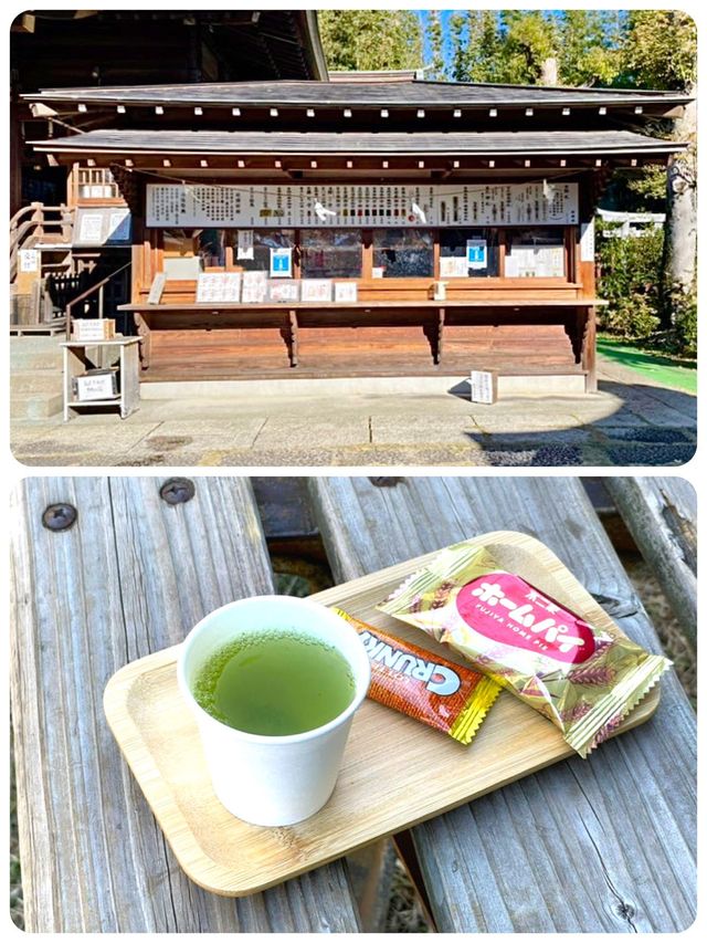 【東京都/鷺宮八幡神社】竹林が美しい神社
