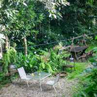 Bee forest บ้านแม่ลาย เชียงใหม่