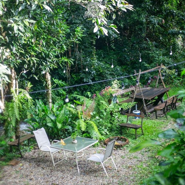 Bee forest บ้านแม่ลาย เชียงใหม่