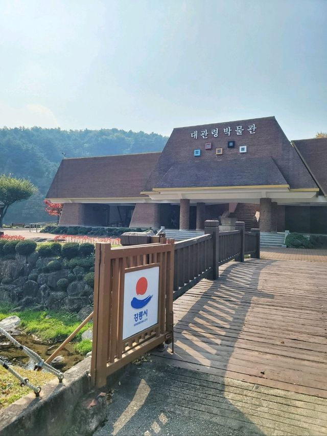 단풍구경도 하고 역사관람도 하는 강릉관광코스🍂