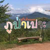 ชมวิวธรรมชาติที่ภูป่าเปาะ | เลย
