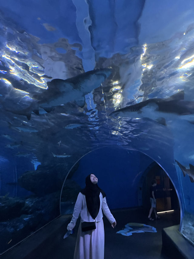 Sea life Bangkok ที่ไปกี่ครั้งก็ไม่เคยเบื่อเลย🥰