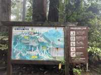 【山形】過去と現在と未来をつなぐ神社