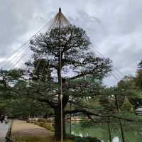 【石川県金沢市】日本庭園🌳日本の文化に触れる