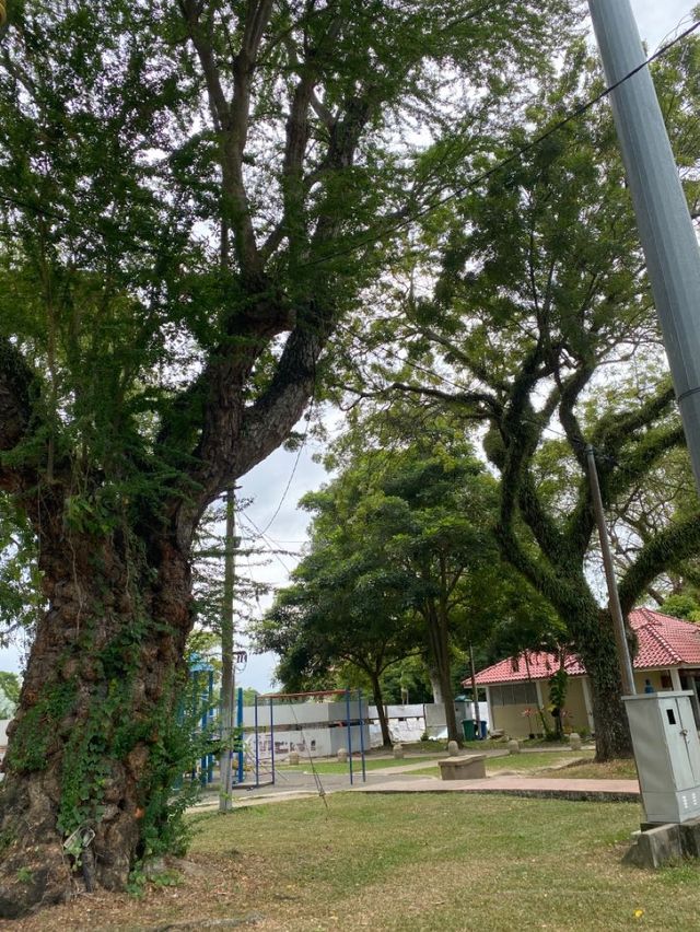 Good open space! 