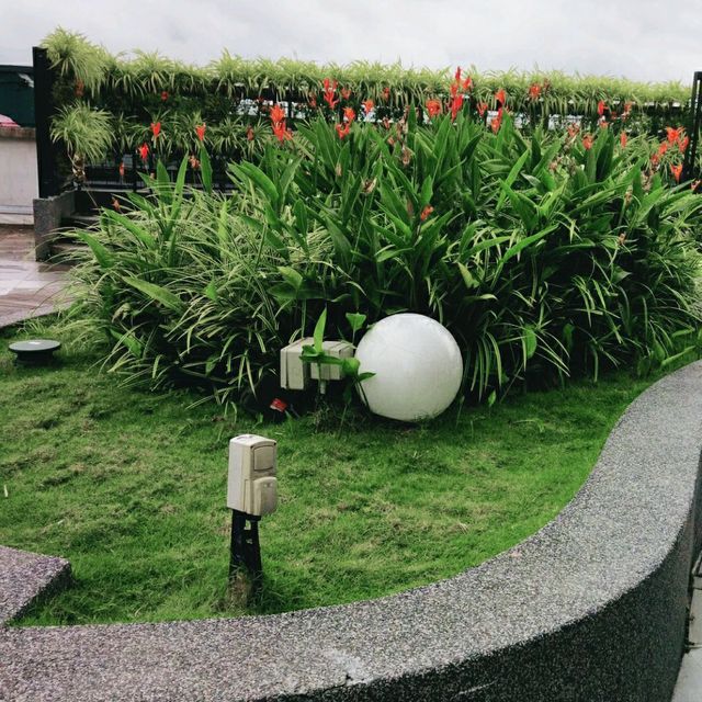 Rooftop Garden 🏡 @ Toppen
