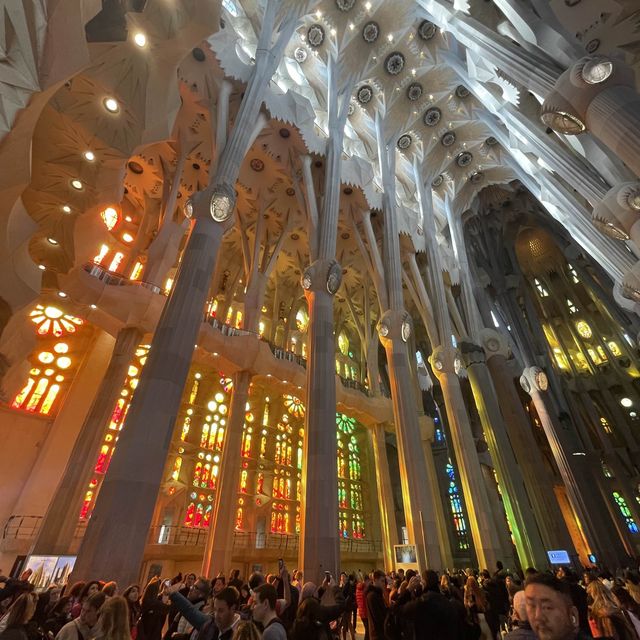 La Sagrada Familia 🇪🇸 Barcelona Spain