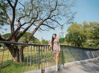 ชวนเดินชิล สวนป่ากลางกรุง ฟีลเมืองนอก
