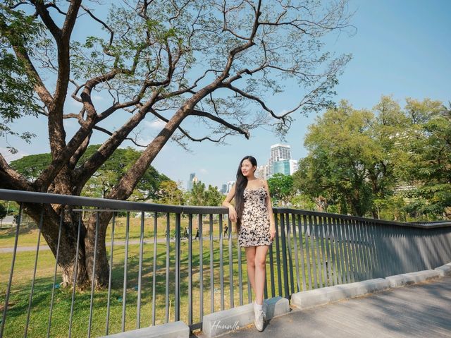 ชวนเดินชิล สวนป่ากลางกรุง ฟีลเมืองนอก