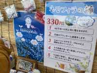 【大阪】春はネモフィラ畑に行こう！
