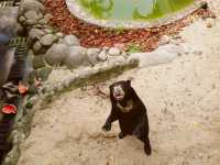 House of rescued animals@ Safari Lagoi Bintan
