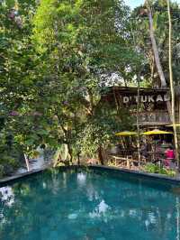 숲속의 인피니티 풀 전세내기 발리 Dtukad River Club