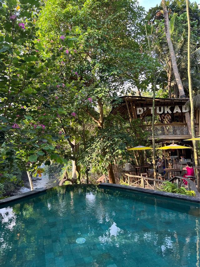 숲속의 인피니티 풀 전세내기 발리 Dtukad River Club