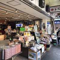 ♨️箱根遊玩慳錢攻略💰必買箱根周遊券