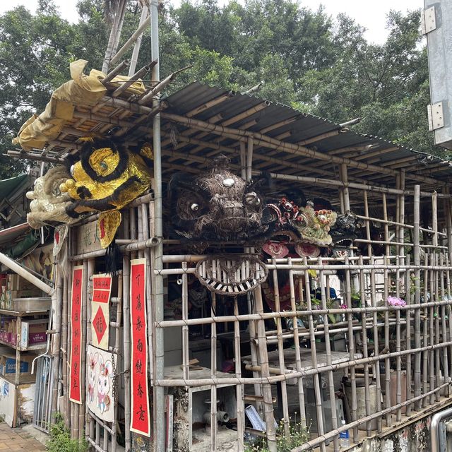 自家農田，香港僅餘的臨時房屋區
