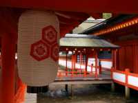 Miyajima and deers of God