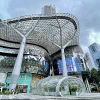烏節路-新加坡最多特式建築及最繁華購物街道