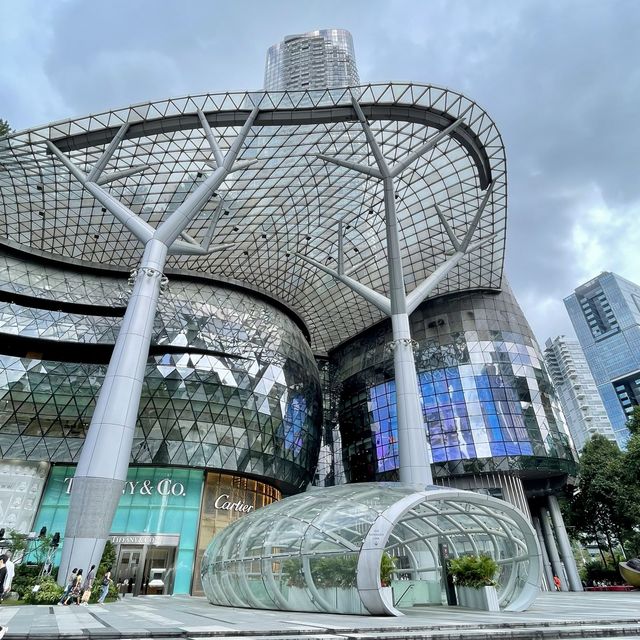 烏節路-新加坡最多特式建築及最繁華購物街道