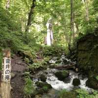 五星級享受😎星野集團奧入瀬溪流酒店 