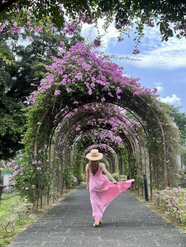 Spring vibes in Singapore 🌸