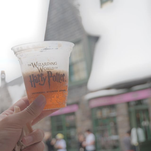 USJ「ハリーポッターの世界観」