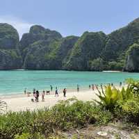 Maya Bay 