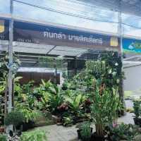 ตลาดต้นไม้สบายใจ 