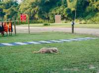 Route 3085 Campsite จ.กาญจนบุรี