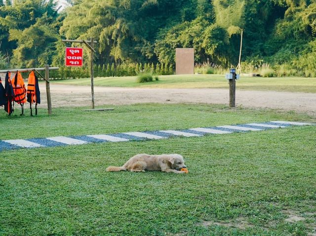 Route 3085 Campsite จ.กาญจนบุรี