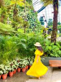 Avatar Experience x Cloud Forest 