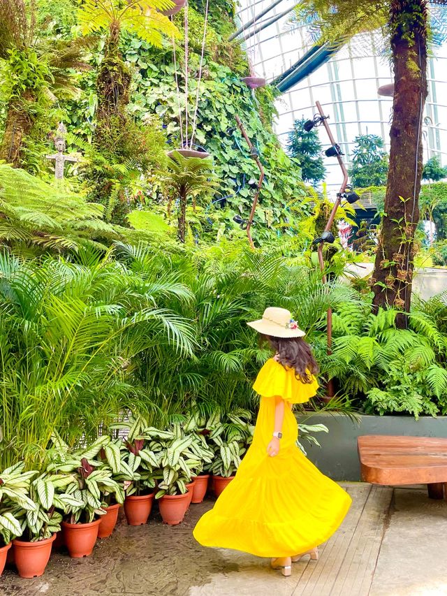 Avatar Experience x Cloud Forest 