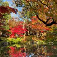 【京都NO.1紅葉🍁スポット、永観堂】