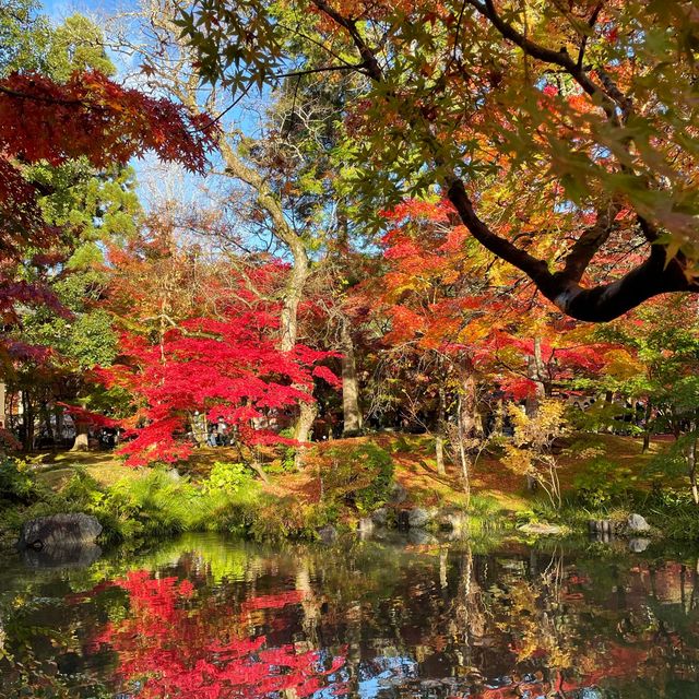 【京都NO.1紅葉🍁スポット、永観堂】
