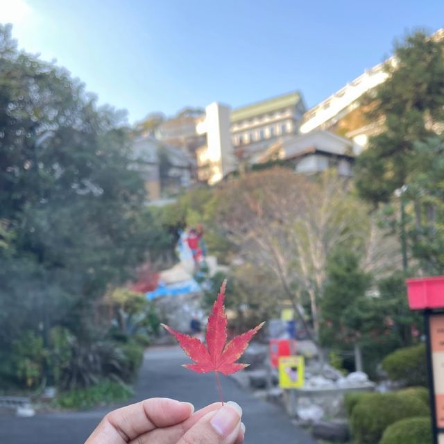 HYOTEN ONSEN BEPPU,OITA🇯🇵