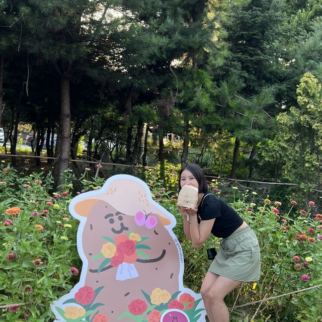 춘천 감자빵 원조! 감자밭으로 오세요🥔🥔